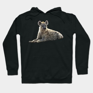 Hyena on Safari in Kenya / Africa Hoodie